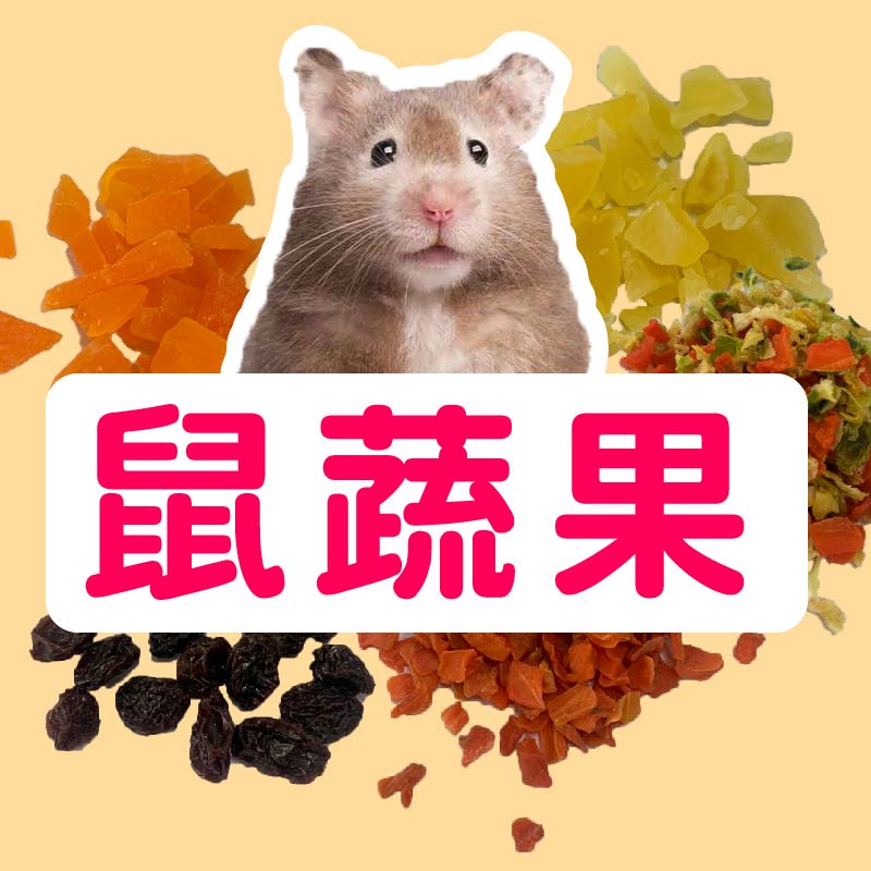 寵物鼠果乾 寵物鼠蔬菜乾 鼠飼料 (芒果 葡萄 鳳梨 高麗菜 紅蘿蔔) 倉鼠零食 寵物鼠零食 台灣製 30g