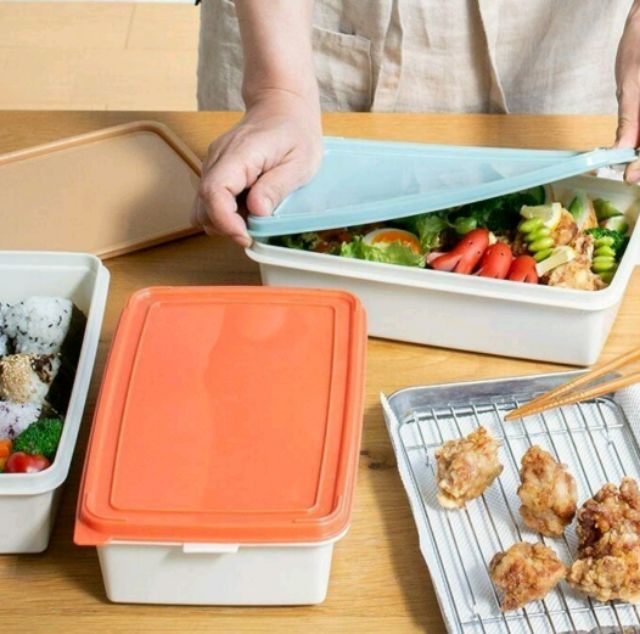 日本 BISQUE ZELT 餐盒 三層 野餐盒 便當盒 附小盤子 (全新未使用，上蓋為出廠既有磨痕，不介意再行購買）