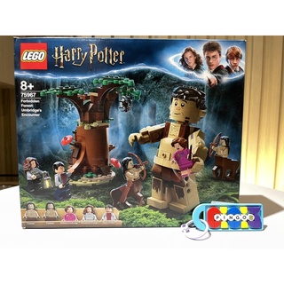 ［大園拼哥］特價 樂高 LEGO 75967 哈利波特 禁忌森林：恩不里居的遭遇 2個 半人馬 城堡系列可參考 #2