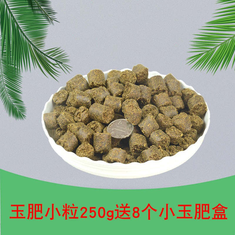 熱賣 玉肥顆粒緩釋肥日本原裝進口肥料盆景肥料花卉專用肥送玉肥盒 蝦皮購物