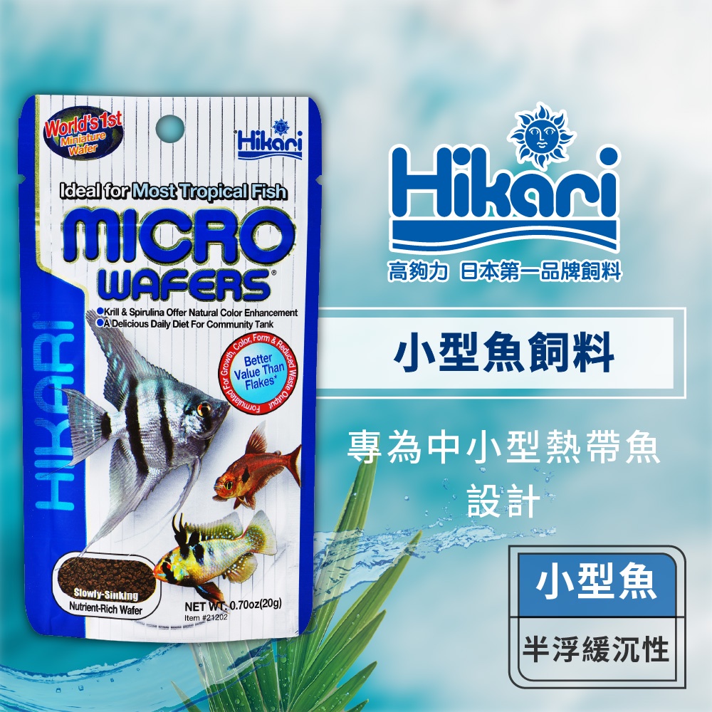 Hikari 高夠力 小型魚飼料 燈魚 孔雀魚 美達卡 慈鯛 麗麗魚