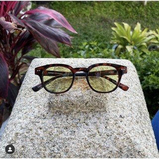 🕶【官方產品】ESPNER太陽眼鏡 | GOSSIP | TAC保利萊偏光片