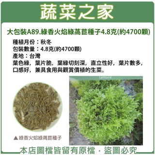 蔬菜之家滿額免運【00A89】大包裝.綠香火焰綠萵苣種子4.8克(約4700顆)