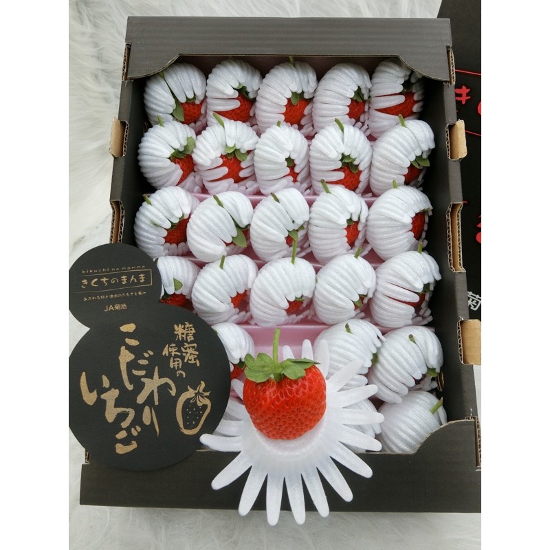 日本菊池 糖蜜草莓 蝦皮購物