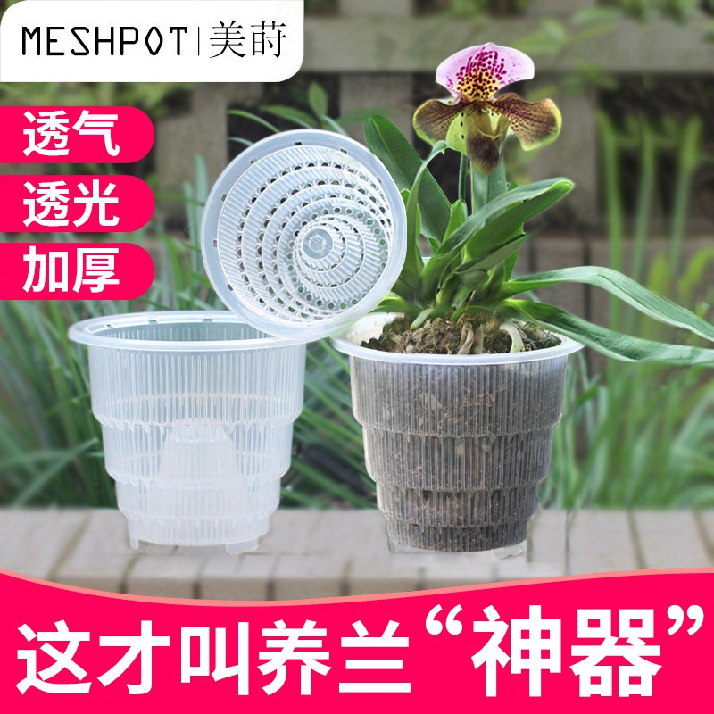 现货美蒔透明蝴蝶蘭控根花盆透氣洋蘭專用盆大號塑料樹脂家用石斛花盆環保綠色 蝦皮購物