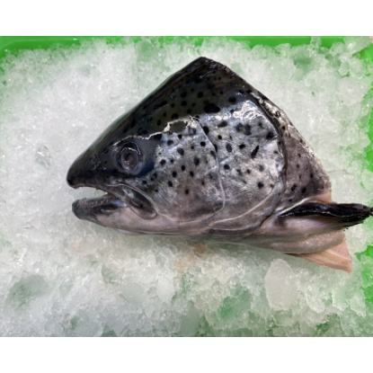 鋒水產 | 冷凍海鮮 | 智利鮭魚頭
