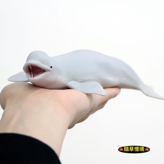 （高品質畫工）模擬 大號 白鯨 鯨魚 鯨 北極 動物模型 野生動物 兒童玩具 益智 公仔 SPG