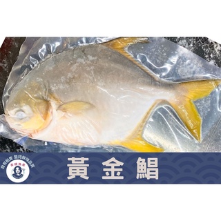 【長順漁產】台灣現流黃金鯧|紅杉|銀鯧|非進口廉價鯧| 批發|零售|海鮮|海產|團購