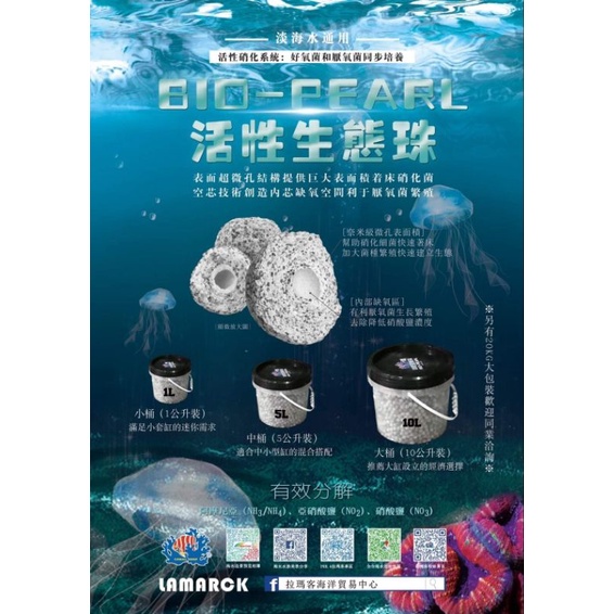 ※傑米水族※ 活性生態珠 海水 高品質 濾材 陶瓷球 陶瓷 生態珠 生態球 生態