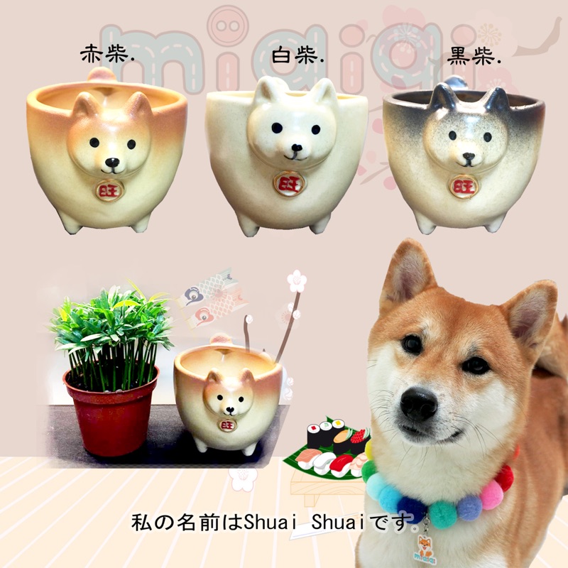 現貨 超可愛柴犬造型盆栽 招財 柴 旺盆 蝦皮購物