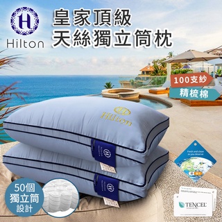 【樂樂生活精品】 免運費 【Hilton希爾頓】皇家頂級100支紗天絲獨立筒枕(銀灰) (請看關於我) MG