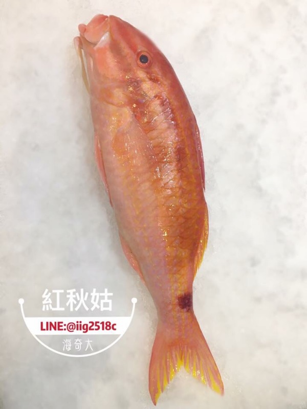 本港現流魚 秋姑魚 真空包裝 蝦皮購物