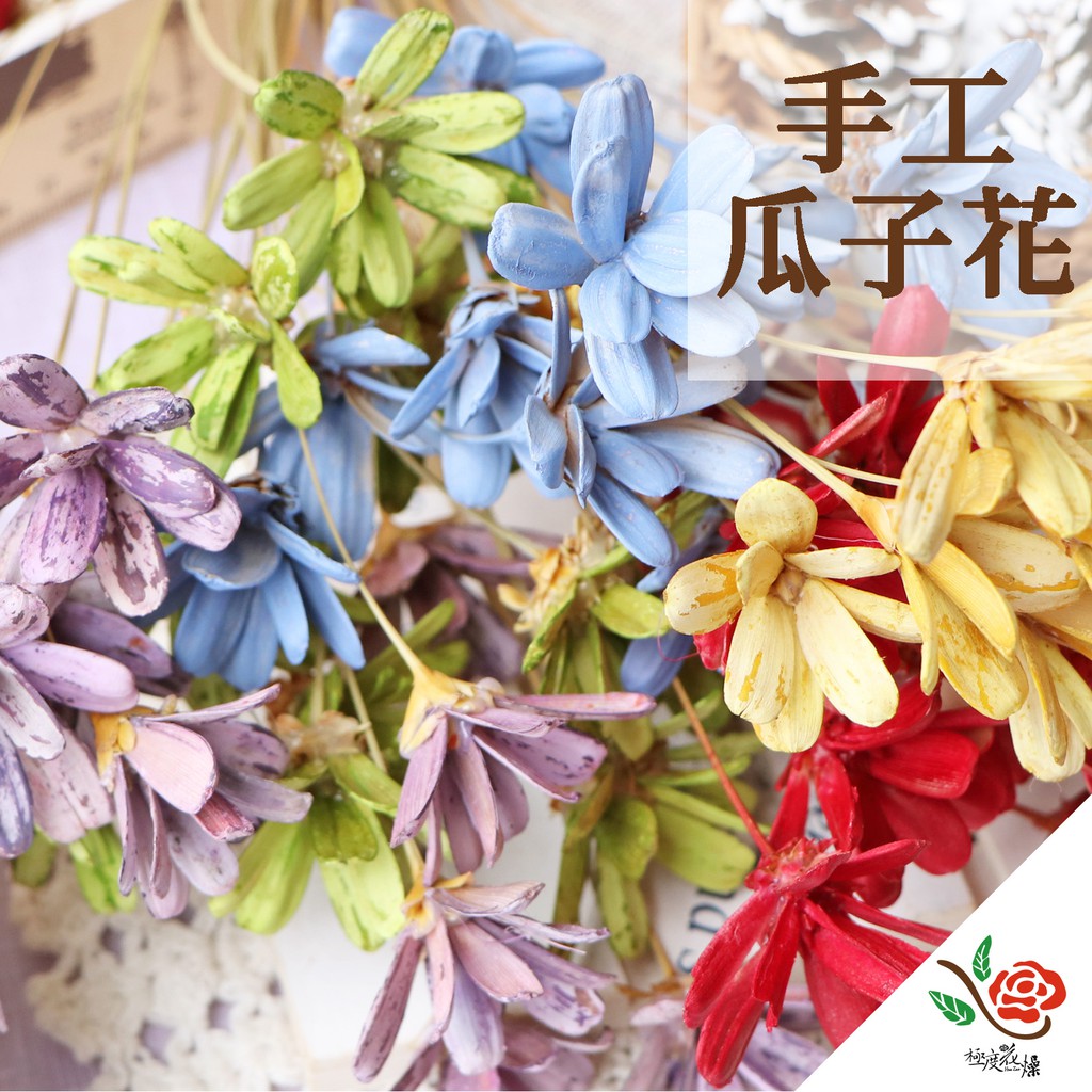 手工花瓜子花實拍圖 極度花燥 現貨零賣小雛菊手工花永生花乾燥花不凋花手做花材萬花母親節