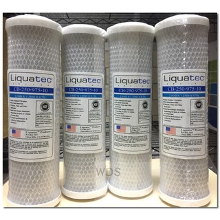 美國Liquatec 10"壓縮柱狀CTO活性碳濾芯NSF42.ANSI雙認證，1隻250元.(零買下標區)除氯