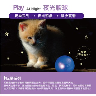 夜光星球 夜光技術 安全無毒 貓咪玩具*美國Petstages*goodcat32