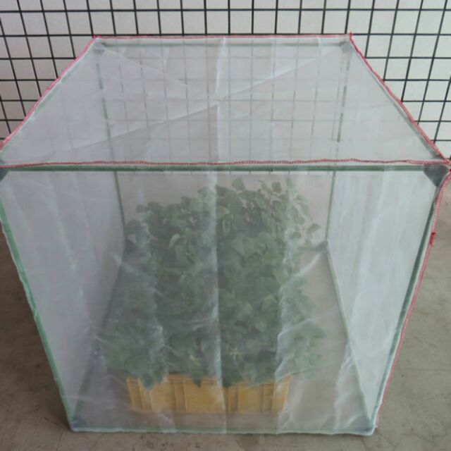 《現貨小型網室》 園藝用蔬菜種植小型防蟲網室 陽台種植 防蟲罩32目）+框架