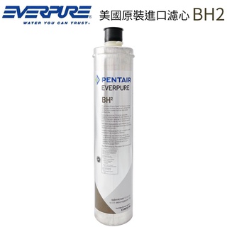 【EVERPURE】美國原裝進口濾心 BH2