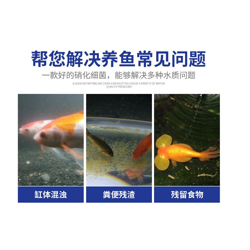 現貨買一送一加強升級版藍寶硝化菌膠囊污水淨化硝化細菌魚缸水族箱濃縮硝化菌乾粉膠囊穩定水質水族藥劑淨化水質 蝦皮購物