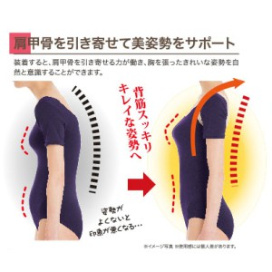 Life Sense Mr Pro 日本設計背部姿勢矯正帶美姿帶肩甲骨帶 蝦皮購物