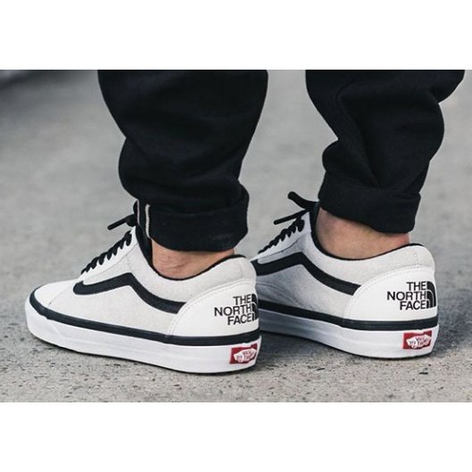 vans old skool mte dx north face