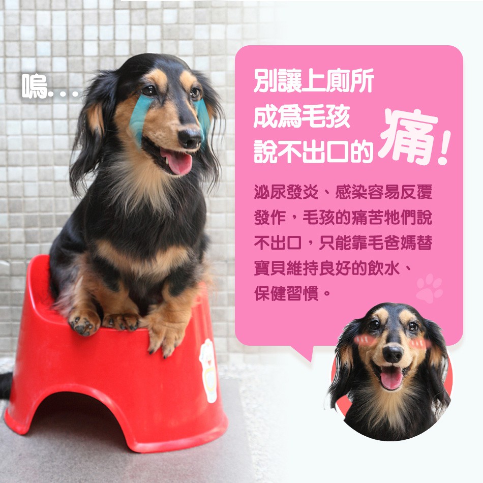 現代百益康 蔓越莓錠 犬貓泌尿保健 蝦皮購物