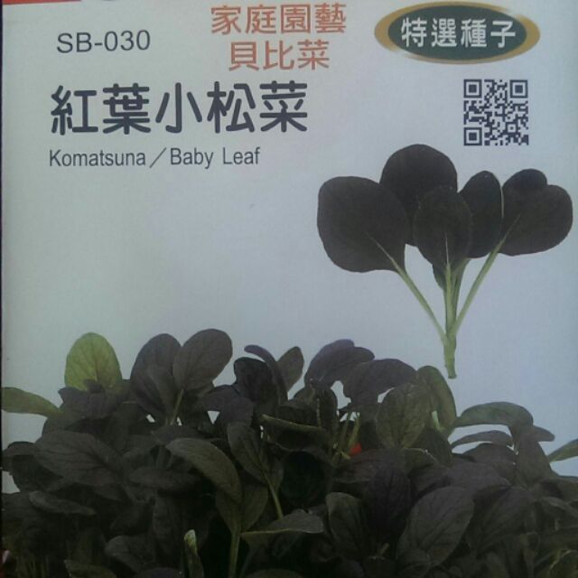 四季園貝比菜紅葉小松草種子約2公克 包 蝦皮購物