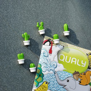QUALY 仙人掌磁鐵 (白/橘) 六入一組 辦公室用品