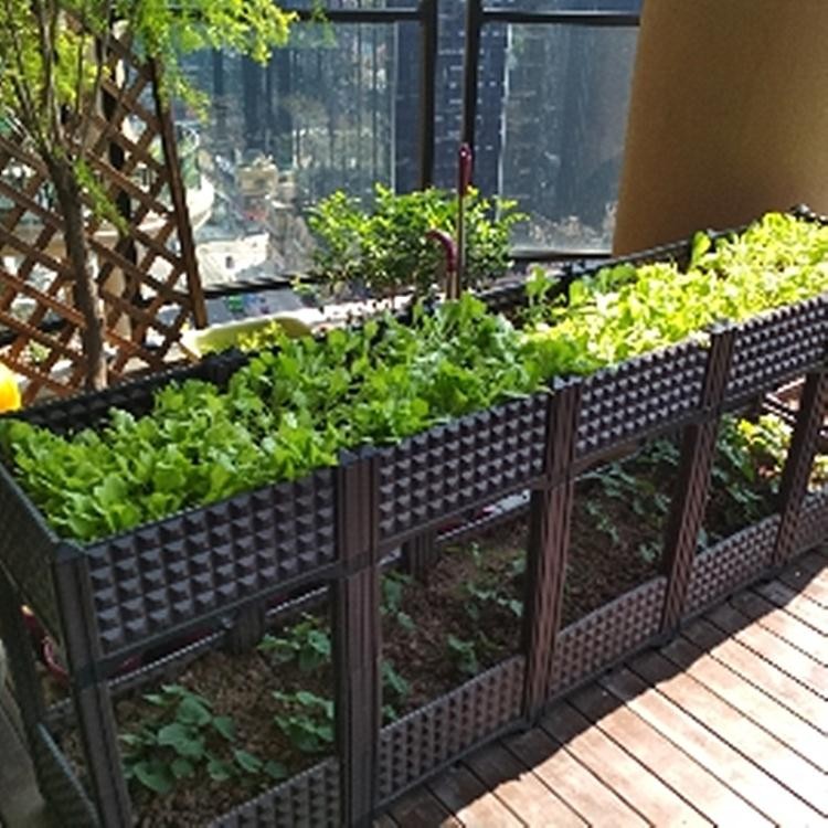 新品現貨上架85折優惠 種植箱陽台蔬菜種菜盆多層花盆長方形戶外種菜箱家庭菜園屋頂樓頂咖 兩層兩聯 蝦皮購物
