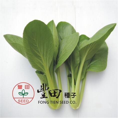 【萌田種子~】F37 頂好特高青江菜種子2.3公克 , 株高可達30公分, 全年可種植 , 每包16元~