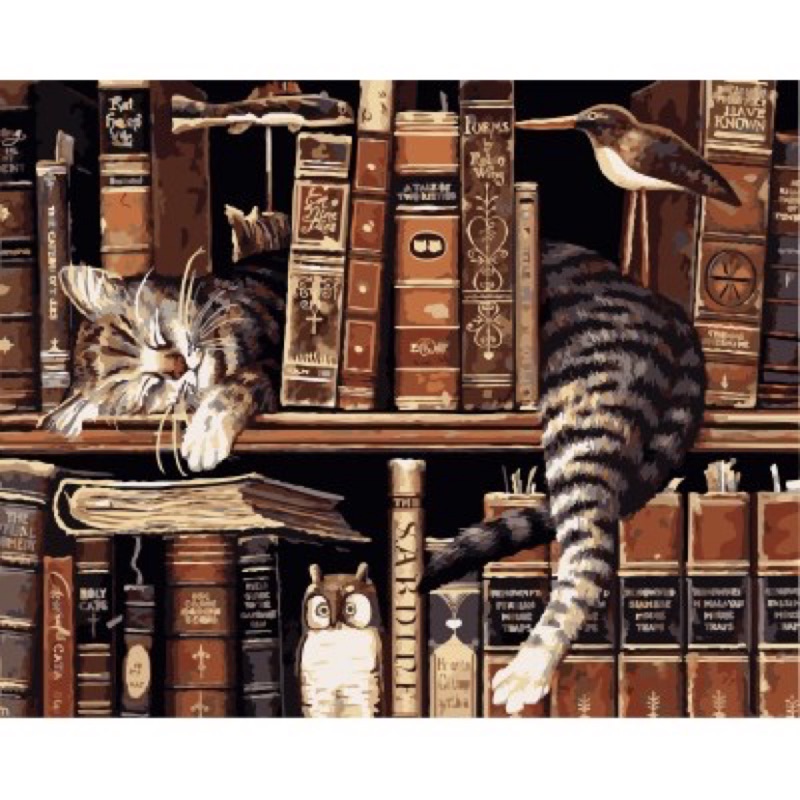 蒂爾傢居生活館~DIY油畫~數字油畫~實木內框畫 ~動物~書櫃貓~40x50～