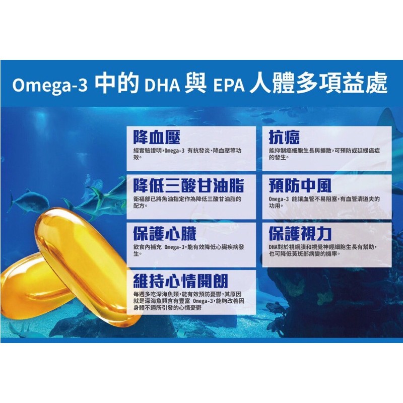 健字號 活力e食代深海魚油薑黃 E膠囊 蝦皮購物