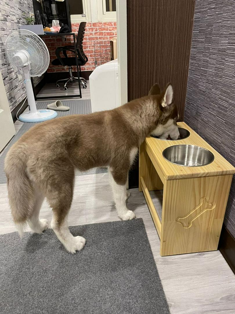 新鮮好物小霸王犬用中小型犬寵物餐桌碗架古代牧羊犬黃金獵犬哈士奇米克斯土狗黃金獵犬鬆獅犬柴犬 蝦皮購物