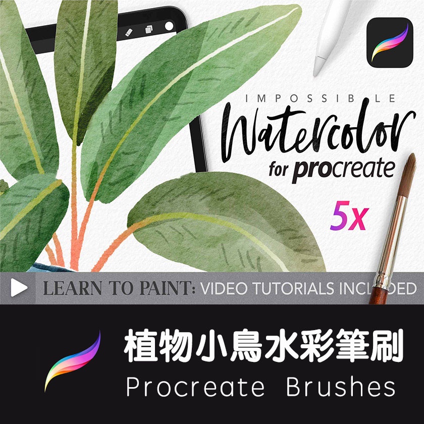 Procreate筆刷水彩筆刷植物水果小鳥ipad繪畫繪圖軟件brushes 蝦皮購物