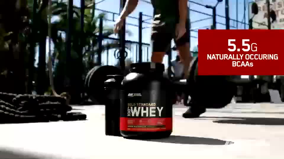 [美國ON] 金牌乳清蛋白 5磅 Whey 100% 乳清 高蛋白 健身 Twinbrothers