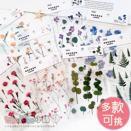 愛三十アンドリューハリディ手帳花 Timbrepost Com