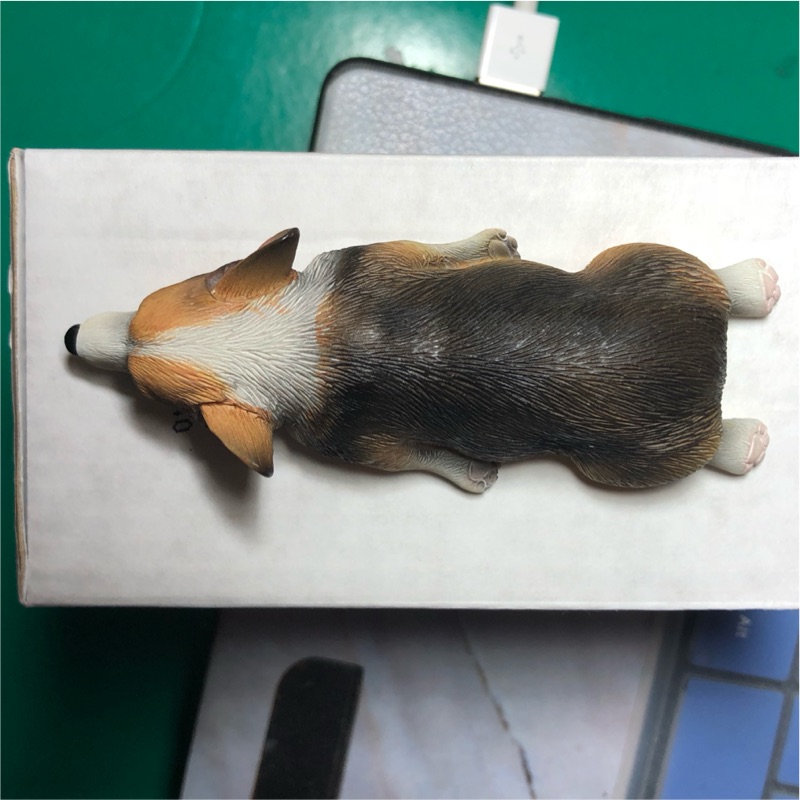 爆睡犬 優惠推薦 21年6月 蝦皮購物台灣
