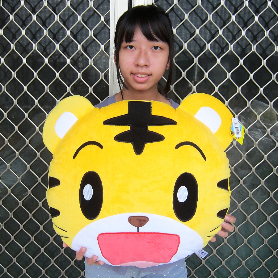 巧虎手提包 巧虎抱枕 巧虎大臉手提包~正版~巧虎頭型毯被 巧虎娃娃提包~巧虎頭枕~卡通手提包~巧虎毛毯~巧虎頭型抱枕毛毯