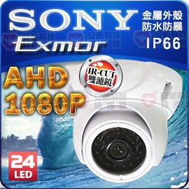 AHD 1080P SONY 防暴 防水 IP66 紅外線 2MP 金屬 半球 海螺 攝影機 適 工程寶 放大器