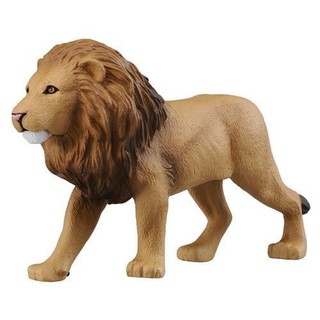 TOMICA 音效版AS01 獅子_ AN81425 多美動物園
