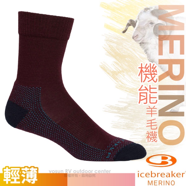 【紐西蘭 Icebreaker】女款美麗諾羊毛中筒薄毛圈登山健行襪(2入組)小腿襪/深紫_IB105108