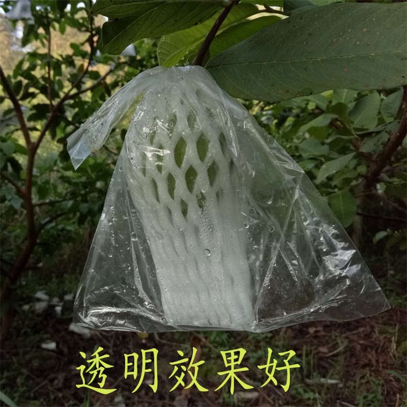 💕現貨💕 20入 芭樂 芭樂套袋 番石榴套袋 泡沫保護網+薄膜袋(塑膠袋)  內袋+外袋 水果套袋 防蟲 防蠅