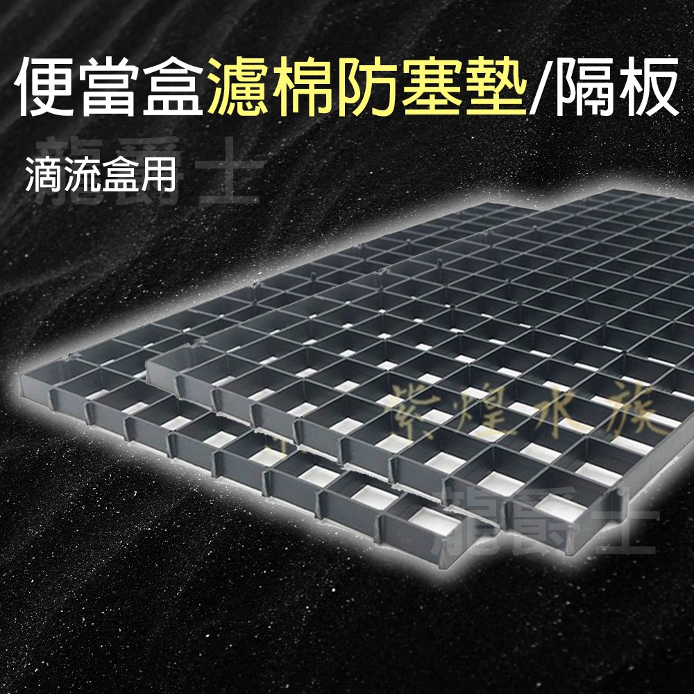 現貨 龍爵士水族 便當盒濾棉防塞墊 隔板 滴流盒 已裁剪 6入f3 蝦皮購物