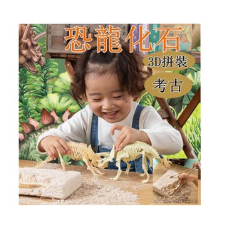 【現貨開發票】3D考古恐龍化石 挖掘化石 侏儸紀世界 科普玩具 恐龍考古化石 恐龍化石 交換禮物 恐龍模型 聖誕禮物