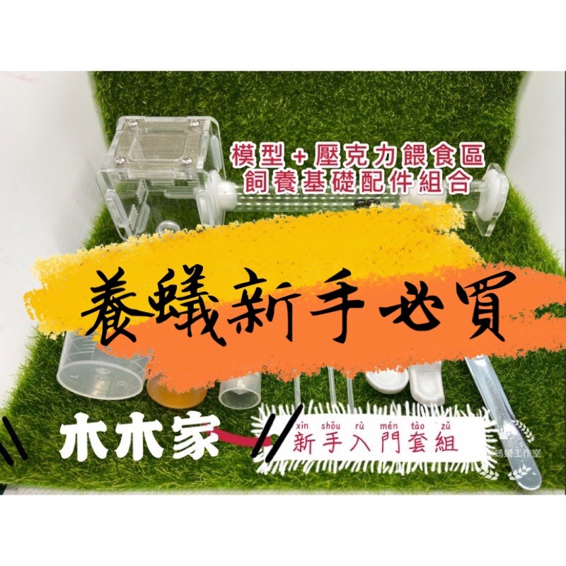 養螞蟻 2021新手入門模型套組 臭巨山蟻 大黑巨山蟻 高雄巨山蟻 希氏巨山蟻 創造屬於自己的螞蟻帝國 螞蟻巢 新手飼養