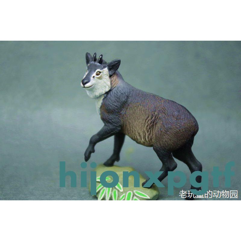 特惠 海洋堂日本の天然記念物單賣6號 日本髭羚 Hijonxpgtf 蝦皮購物