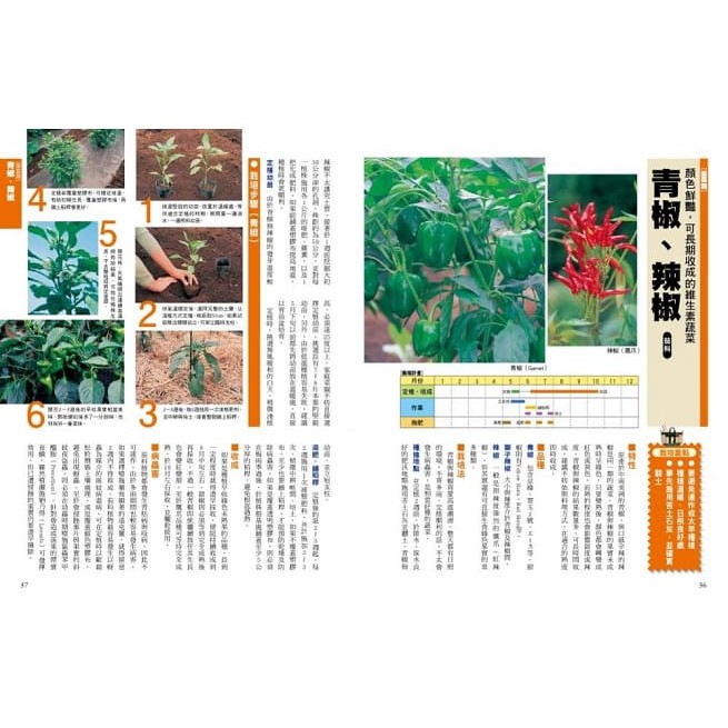 新手種菜100招 自己種出70種家常菜 蝦皮購物