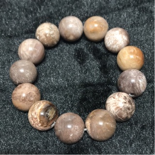 樹化玉石手珠 木化石 17mm