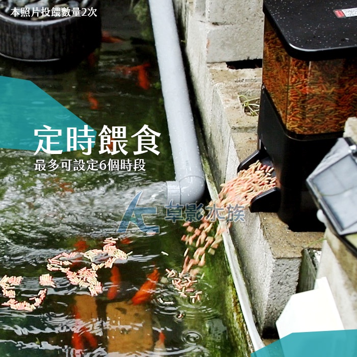 【AC草影】戶外防水 魚池/池塘 自動餵食器（10L）【一台】錦鯉餵食 戶外自動餵食器 池塘自動投餵 自動餵魚器