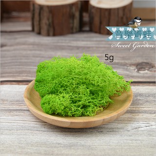 Sweet Garden, 5g 模擬草皮 永生草 苔蘚 音樂盒DIY 微景觀 袖珍娃娃屋配件 不能泡水