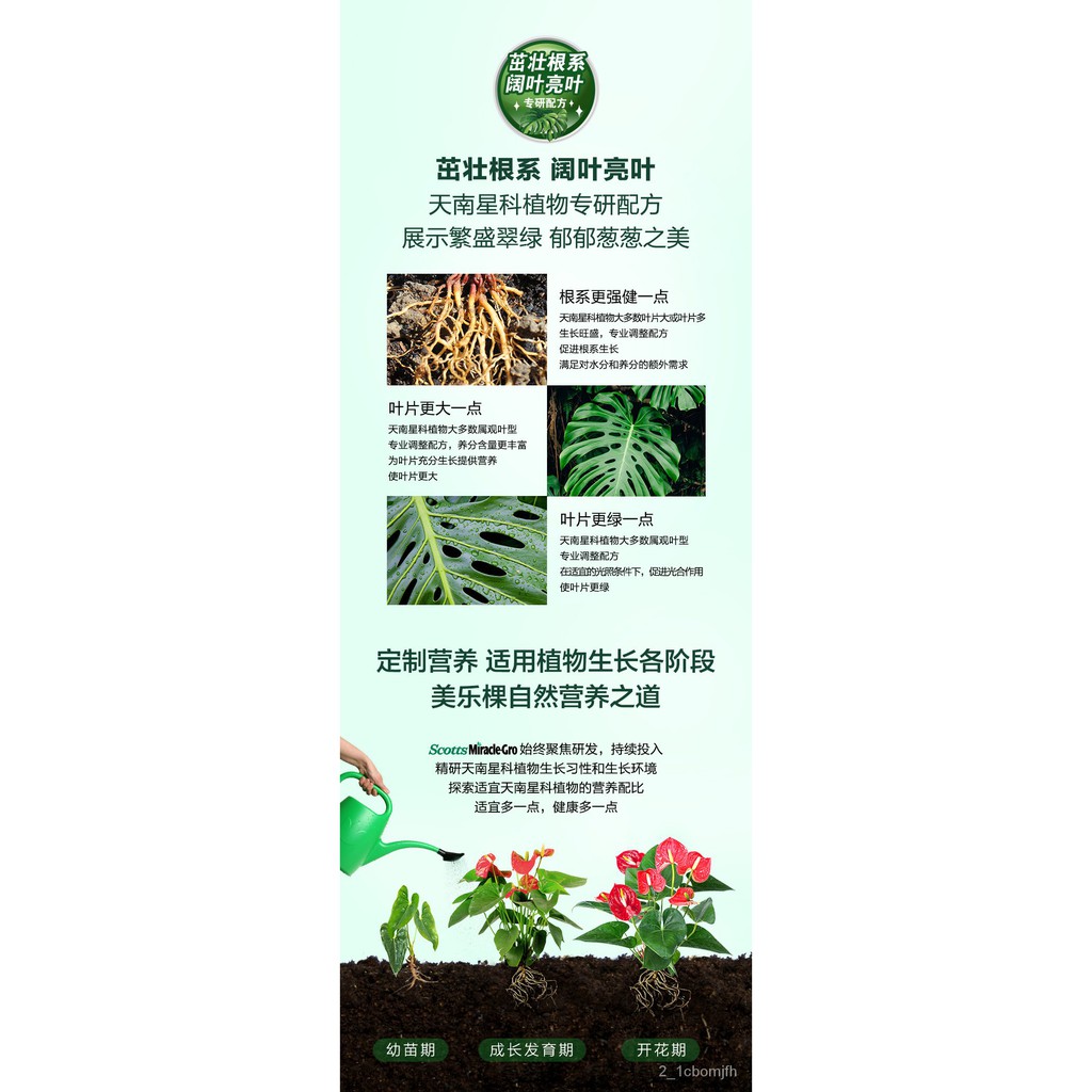 美樂棵家庭園藝濃縮營養液天南星科植物型專用盆栽液體花肥料 蝦皮購物